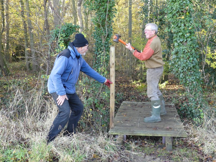 18November17_untitled11