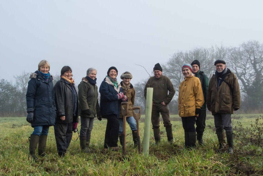 Planting the first tree (a Hornbeam) 30th December 2016
