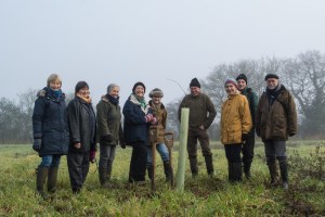 Planting the first tree (a Hornbeam) 30th December 2016